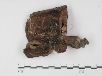 登錄號:F0003764藏品圖，第1張