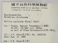 登錄號:F0003766藏品圖，第2張