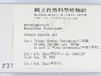 登錄號:F0003769藏品圖，第2張