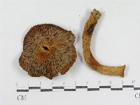 登錄號:F0003769藏品圖，第3張