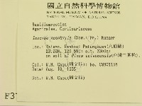 登錄號:F0003770藏品圖，第2張