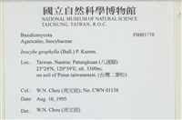 登錄號:F0003770藏品圖，第4張