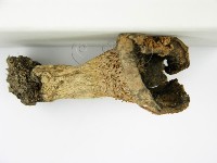 登錄號:F0003772藏品圖，第7張