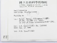 登錄號:F0003773藏品圖，第2張