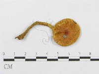 登錄號:F0003773藏品圖，第1張