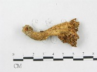 登錄號:F0003774藏品圖，第3張