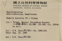 登錄號:F0003776藏品圖，第5張