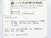 登錄號:F0003777藏品圖，第3張