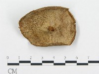 登錄號:F0003777藏品圖，第1張