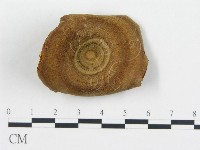 登錄號:F0003777藏品圖，第4張