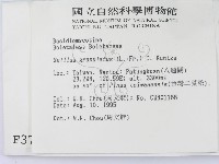 登錄號:F0003778藏品圖，第2張