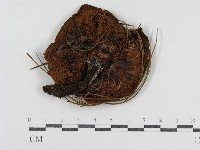 登錄號:F0003778藏品圖，第1張
