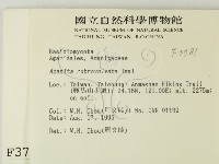 登錄號:F0003781藏品圖，第2張