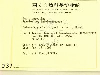 登錄號:F0003782藏品圖，第2張