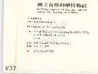 登錄號:F0003783藏品圖，第2張