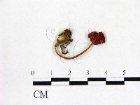 登錄號:F0003783藏品圖，第1張