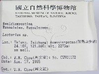 乳菇屬藏品圖，第2張