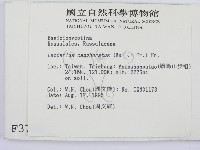 登錄號:F0003785藏品圖，第2張