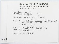 登錄號:F0003791藏品圖，第2張