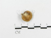 登錄號:F0003791藏品圖，第3張