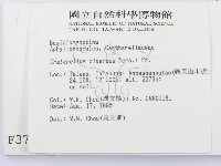 登錄號:F0003792藏品圖，第2張