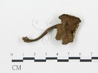 登錄號:F0003792藏品圖，第1張