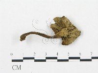 登錄號:F0003792藏品圖，第3張