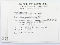 登錄號:F0003793藏品圖，第2張