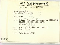 登錄號:F0003794藏品圖，第2張