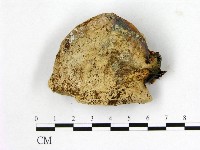 登錄號:F0003794藏品圖，第1張