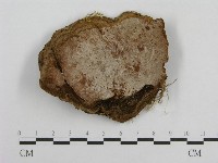 登錄號:F0003794藏品圖，第4張