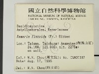 登錄號:F0003798藏品圖，第2張