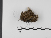 登錄號:F0003798藏品圖，第3張