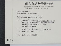 登錄號:F0003799藏品圖，第2張