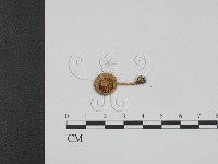 登錄號:F0003799藏品圖，第1張