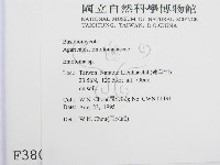 粉褶菌屬藏品圖，第2張