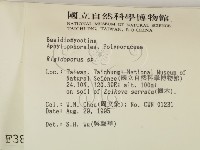硬孔菌屬藏品圖，第2張