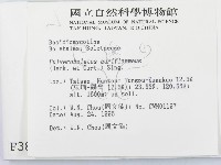 登錄號:F0003807藏品圖，第2張