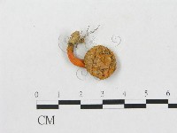 登錄號:F0003807藏品圖，第1張