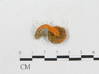 登錄號:F0003807藏品圖，第3張