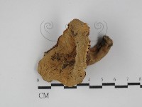 登錄號:F0003808藏品圖，第1張