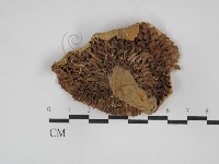 登錄號:F0003808藏品圖，第3張