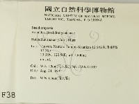 登錄號:F0003809藏品圖，第2張