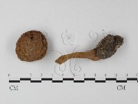 登錄號:F0003809藏品圖，第1張