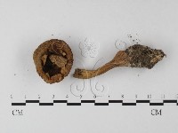 登錄號:F0003809藏品圖，第3張