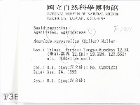 登錄號:F0003811藏品圖，第2張