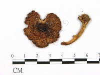 登錄號:F0003811藏品圖，第1張