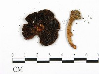 登錄號:F0003811藏品圖，第3張