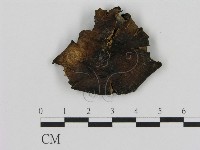 登錄號:F0003813藏品圖，第1張