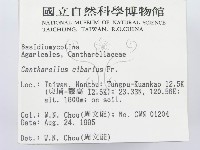 登錄號:F0003814藏品圖，第2張